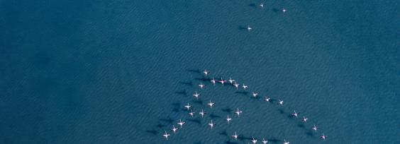 Try These Proven Strategies to Increase Ecommerce Sales